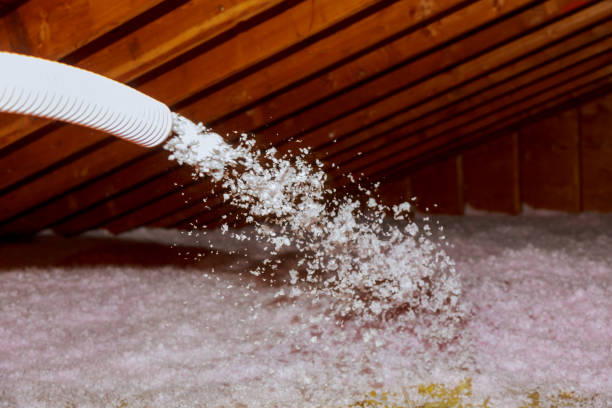 Insulation Inspection Services in The Hills, TX