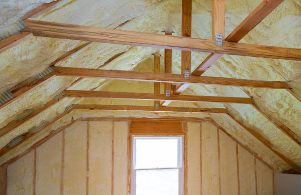 Best Insulation Removal Services  in The Hills, TX