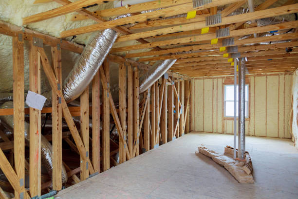 Best Spray Foam Insulation  in The Hills, TX