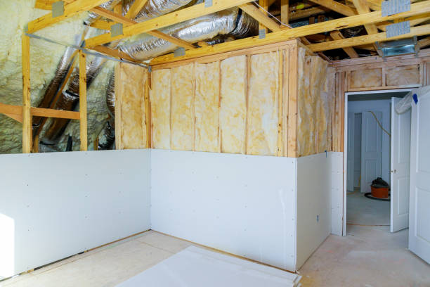 Best Insulation Removal  in The Hills, TX