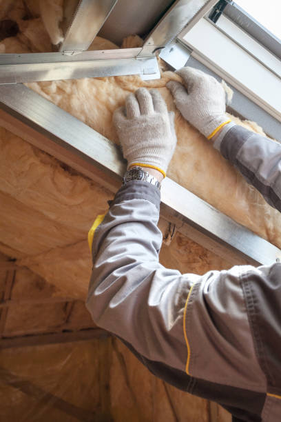 Insulation Contractors for Homes