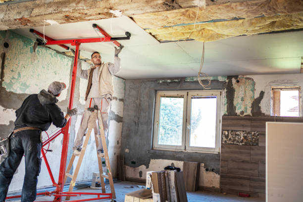 Best Spray Foam Insulation  in The Hills, TX