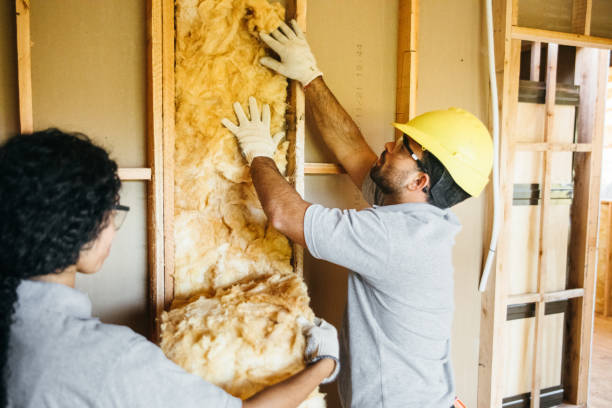 Best Insulation for New Construction  in The Hills, TX