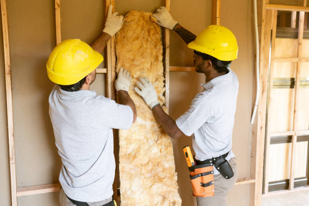 Best Insulation Removal  in The Hills, TX